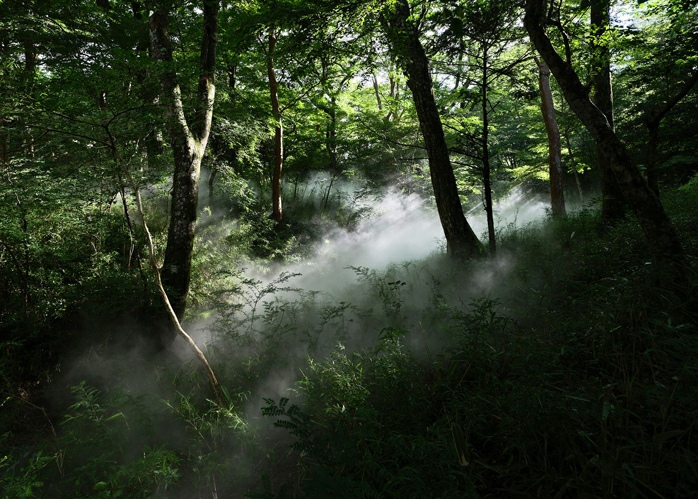 Fujiko Nakaya,&nbsp;Fog Promenade Sengokuhara, Fog Sculpture #47721, 2026. Installation view, Pola Museum of Art, Hakone, Japan, 2026. Photo: Shu Nakagawa 