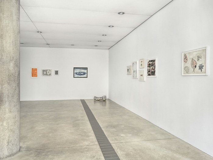 View of Veronica Ryan: Unruly Objects, the Pulitzer Arts Foundation, St. Louis, 2025. © Veronica Ryan, OBE. Photo: Alise O’Brien Photography. © Pulitzer Arts Foundation and Alise O’Brien Photography. 