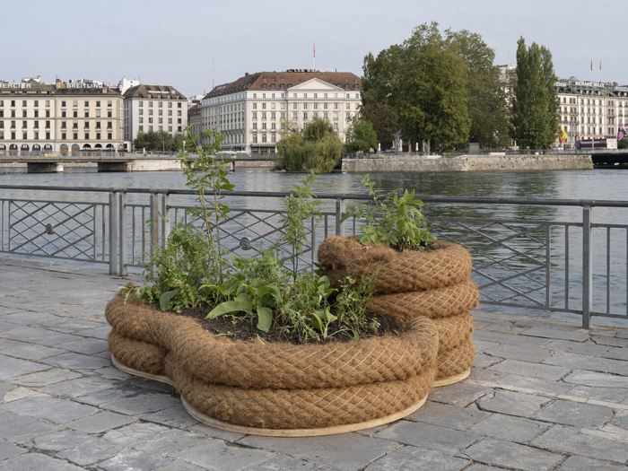 Maria Thereza Alves, Seeds of Change— Garden of Balast Flora, 2023. Wood, earth, coir logs, selected plants, variable dimensions. Image: Julien Gremaud.