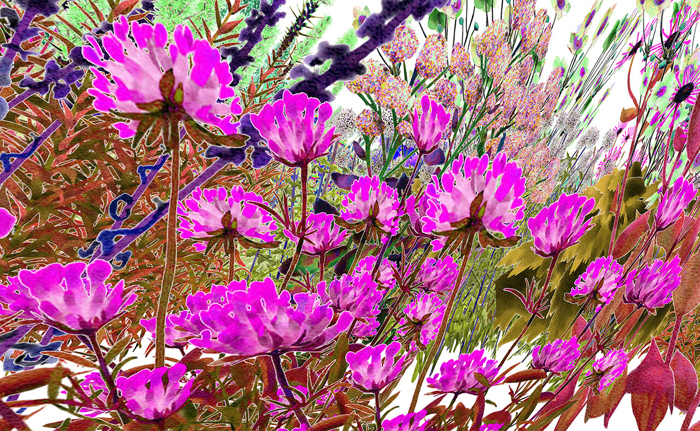 Alexandra Daisy Ginsberg, Pollinator Pathmaker: ARr77zvQW8Bq8q6hgDHUmp (Pollinator Vision, Late Summer), 2023. © Alexandra Daisy Ginsberg Ltd. Courtesy of Alexandra Daisy Ginsberg Ltd. Commissioned by Frankfurter Kunstverein.