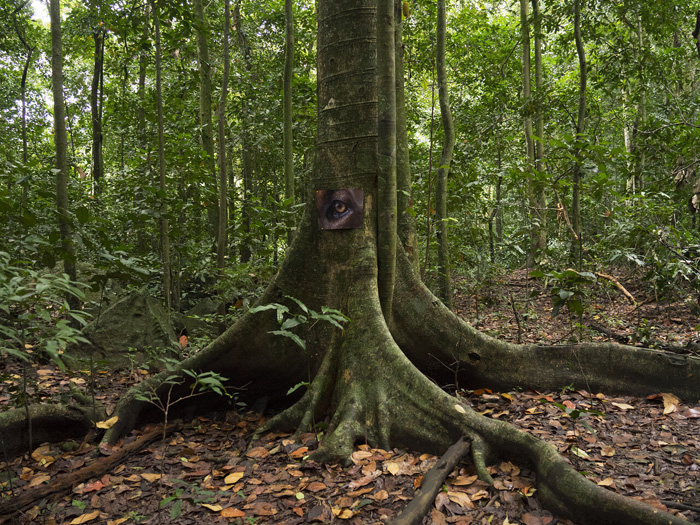 Daniel Steegmann Mangrané, La Pensée Férale (detail), 2020. 