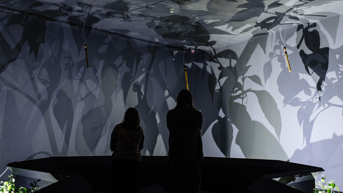 Nguyễn Trinh Thi, And They Die a Natural Death, 2022. Installation view, Glynn Vivian Art Gallery, Swansea, Wales, 2023. Photo: Polly Thomas.