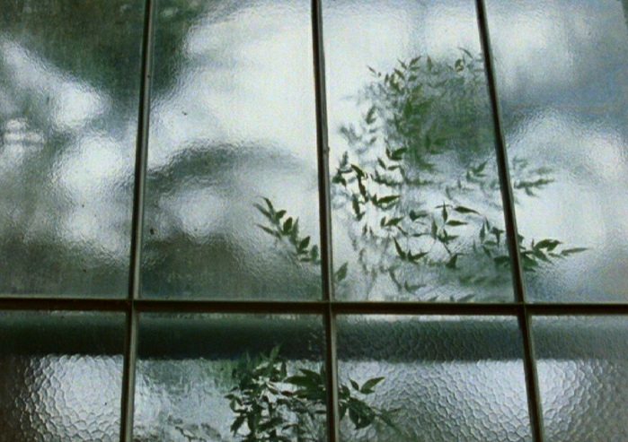 Shrin Sabahi, Muted Fanfare for the Shy (still), 2013. Courtesy of the artist & VG Bild-Kunst, Bonn