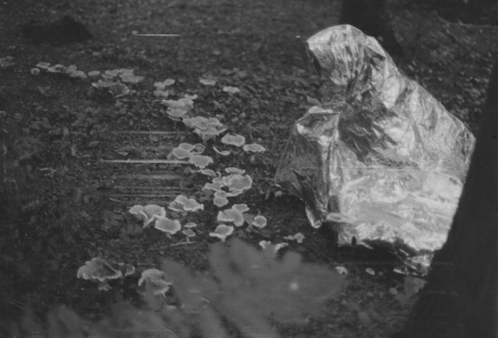 Kaensan Rattanasomrerk, Spose (still), 2024. Courtesy of the artist.	