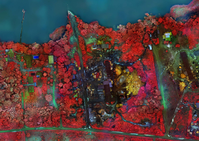 Richard Mosse, Senador Porfírio, Pará (detail), 2021. From the series “Tristes Tropiques.” Archival pigment print triptych, each panel, 200 x 160 cm. Courtesy of the artist and carlier | gebauer, Berlin/Madrid. 