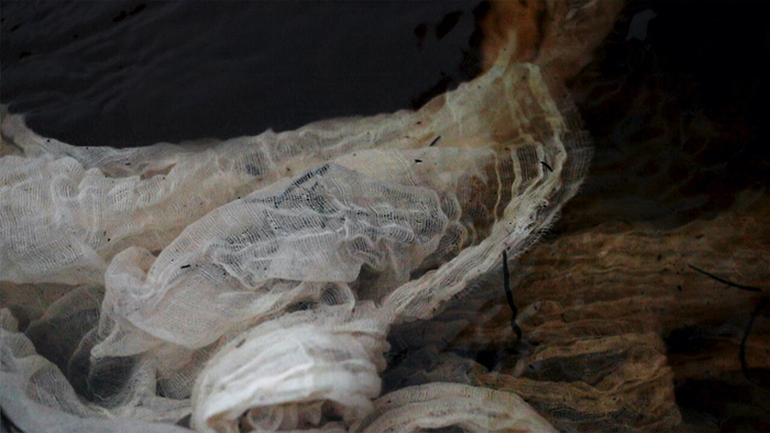 Cassie Sullivan, Mayana Trawna | Body Country (still), 2021. Courtesy of the artist. 