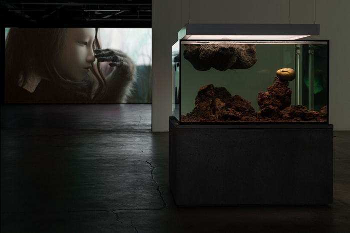 View of Pierre Huyghe: Chimeras, EMMA—Espoo Museum of Modern Art, Espoo, Finland, 2023. Left: Pierre Huyghe, Untitled (Human Mask), 2014. Right: Pierre Huyghe, Zoodram 6, 2013. © Paula Virta / EMMAInCollection: Saastamoinen Foundation & EMMA—Espoo Museum of Modern Art. 