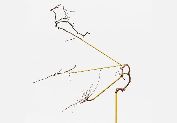 Andrea Acosta,  Assisted Forest, 2020. Found objects, brass rods and clamps, dimensions variable. © Andrea Acosta.