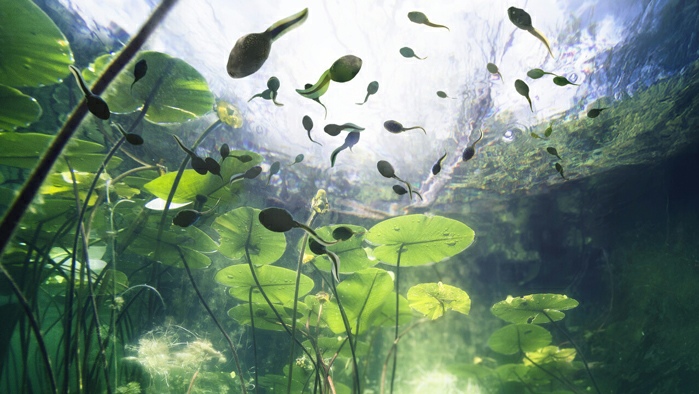 Photo: HAM/Helsinki Biennial 