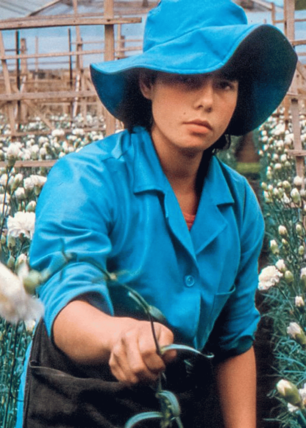 [1] Collage: Mercè Torres Ràfols and Åsa Sonjasdotter, made of archival material, National Folklore Collection, University College, Dublin, 2023. © Mercè Torres Ràfols and Åsa Sonjasdotter. [2] Marta Rodríguez and Jorge Silva, Amor, mujeres y flores, 1989. In Das Land denen. Photo: Jorge Silva and Fundación Cine Documental. 