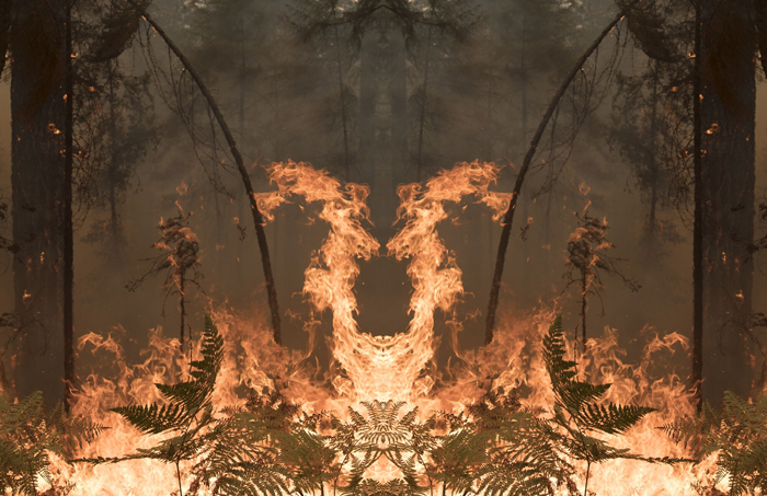 Julius von Bismarck,  Fire with Fire, 2020. Courtesy the artist; alexander levy, Berlin; Sies + Höke, Düsseldorf and Marlborough Gallery, London/New York. © the artist / VG Bild-Kunst, Bonn 2020 