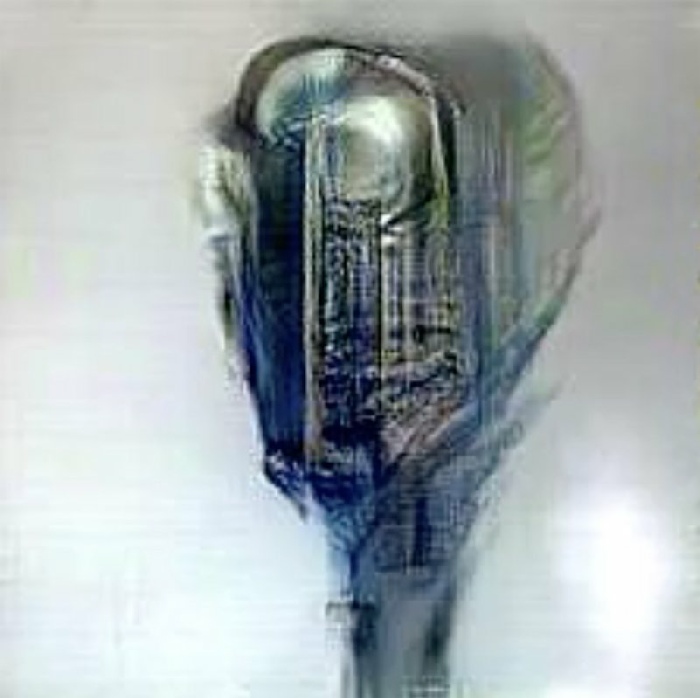 UUmwelt, 2018 © Pierre Huyghe - Kamitani Lab / Kyoto University and ATR. Courtesy the artist, Marian Goodman Gallery, Esther Schipper, Hauser & Wirth, Galerie Chantal Crousel